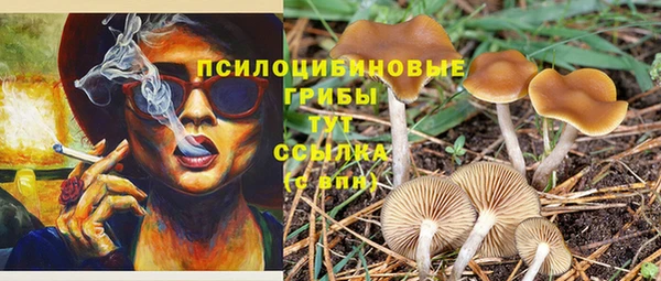 МДПВ Абинск