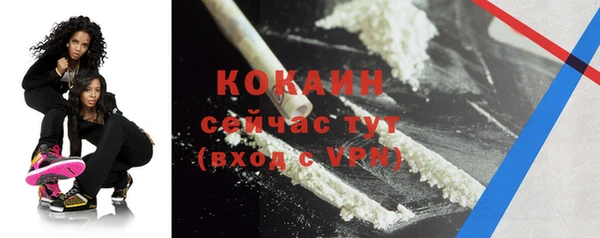 винт Абаза