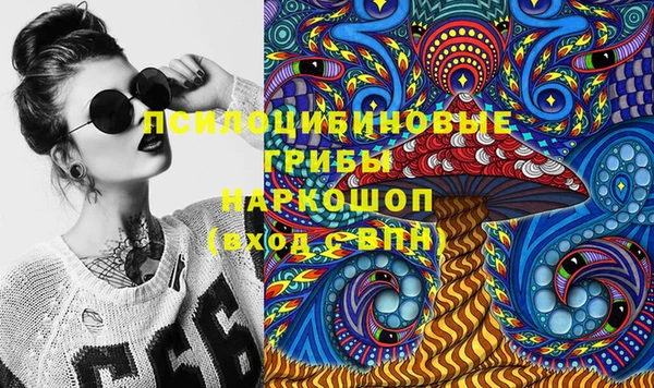 винт Абаза