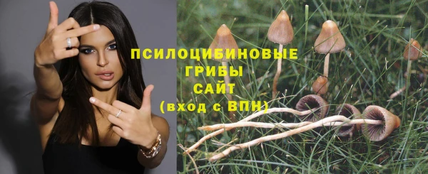 винт Абаза