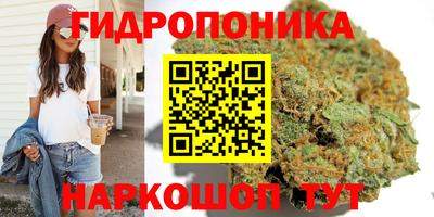 амф Коммунар
