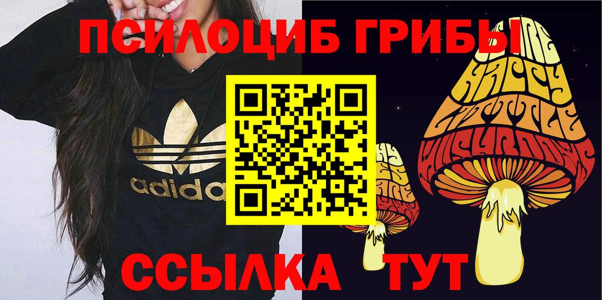 Псилоцибиновые грибы Psilocybe Кулебаки